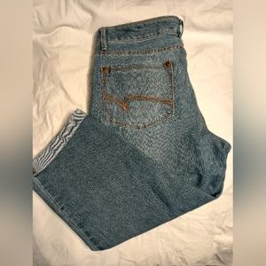 Faded Glory Capris - Size 16w